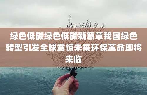 绿色低碳绿色低碳新篇章我国绿色转型引发全球震惊未来环保革命即将来临