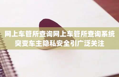 网上车管所查询网上车管所查询系统突变车主隐私安全引广泛关注